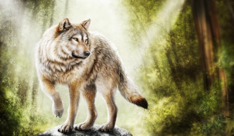 Wolf in Forest — Green, Serene, Morning, Digital Art