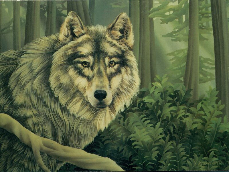 Wolf in Forest — Green, Serene, Morning