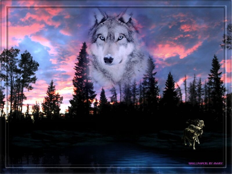 Wolf in Forest — Purple