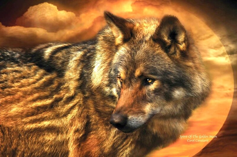 Wolf in Golden Light — Dramatic