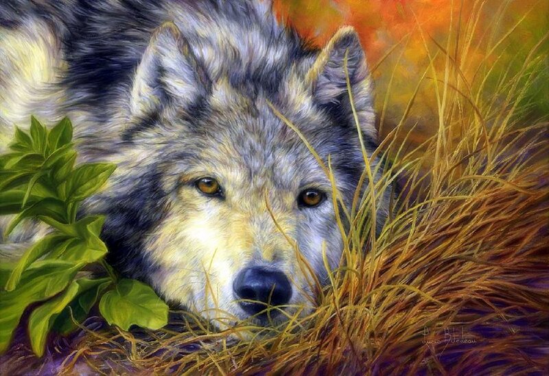 Wolf in Grass — Gray, Calm, Autumn, Painting