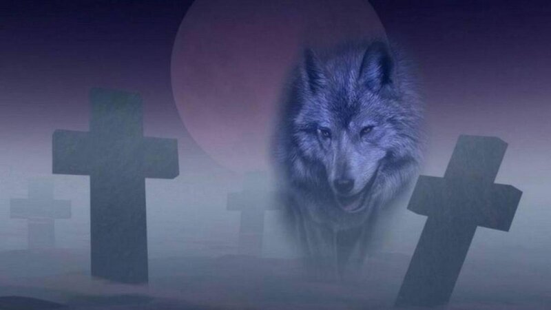 Wolf in Graveyard — Purple, Eerie