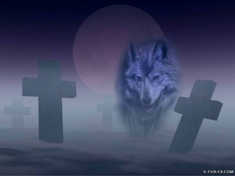 Wolf in Graveyard — Purple