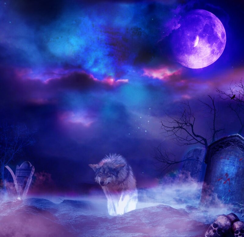 Wolf in Graveyard