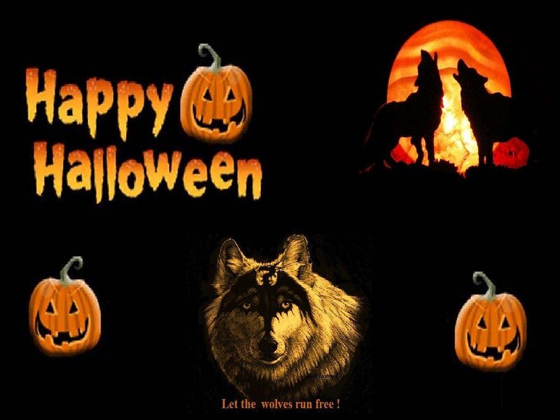 Wolf in Halloween Scene