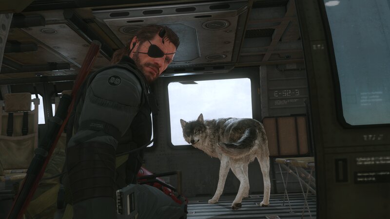 Wolf in Helicopter — Gray