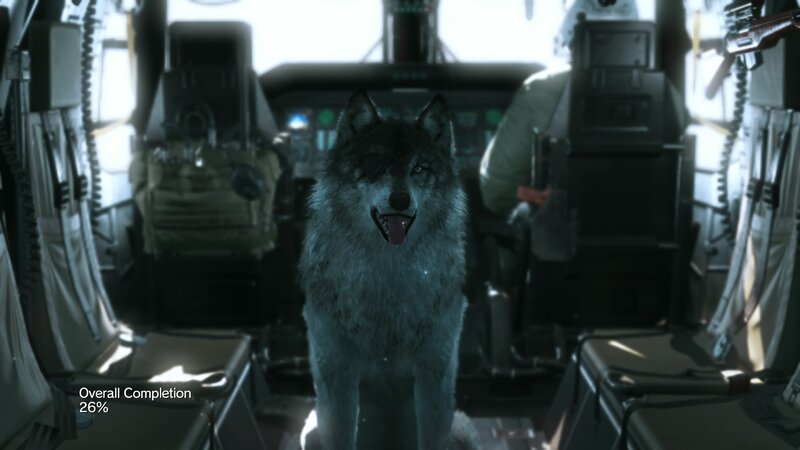 Wolf in Helicopter