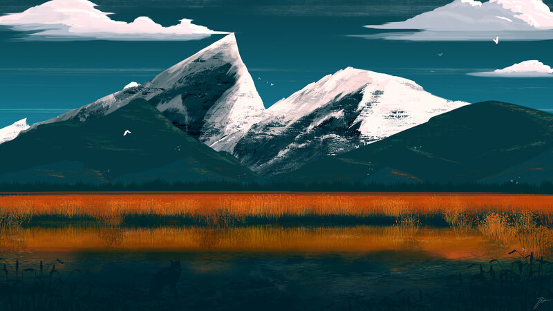 Wolf in Marsh