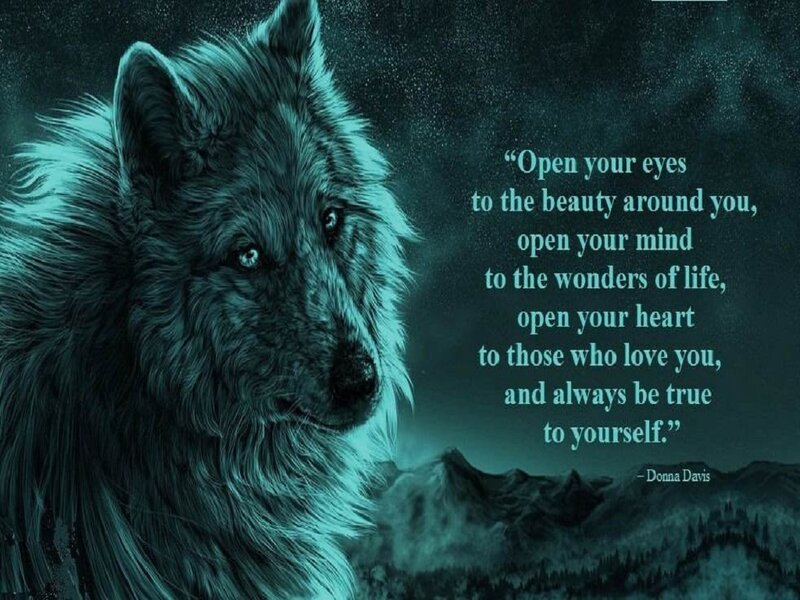 Wolf in Night Landscape