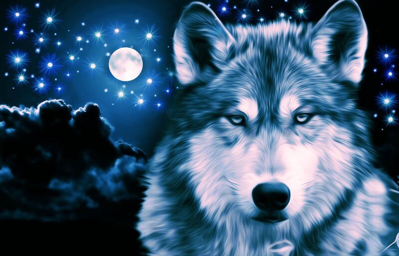 Wolf in Night Sky — Blue, Dramatic