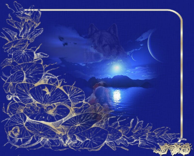 Wolf in Night Sky