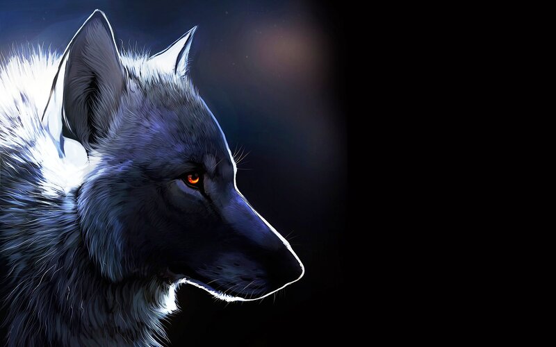 Wolf in Profile — Black, Dramatic, Night, Digital Art, Eye