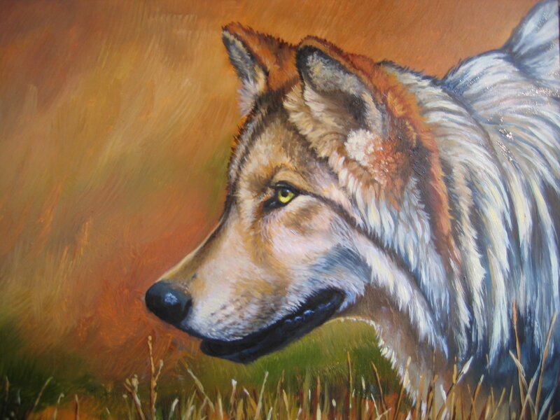 Wolf in Profile — Brown, Calm, Sunset