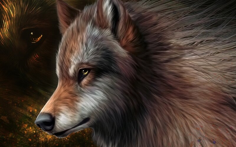 Wolf in Profile — Brown, Dramatic, Digital Art, Eye