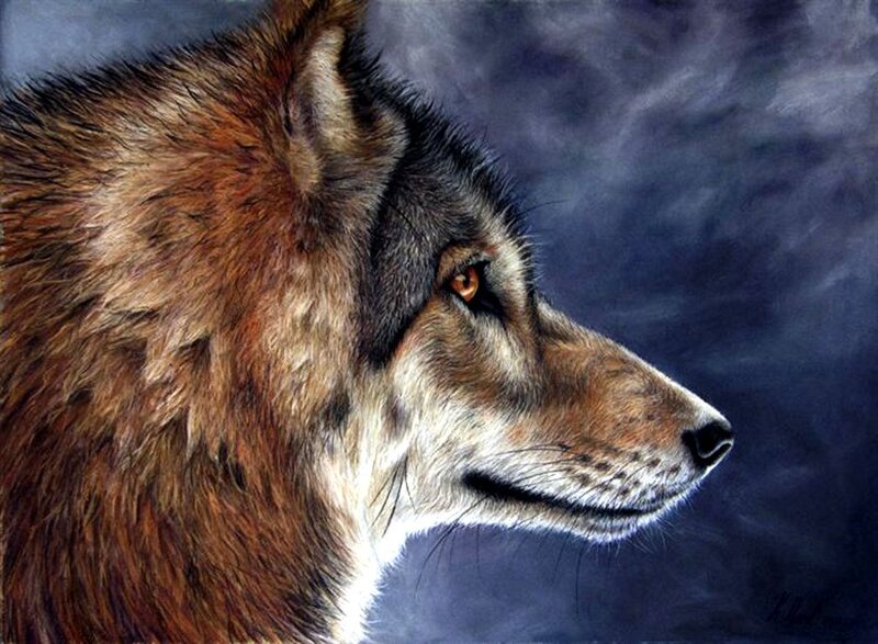 Wolf in Profile — Brown, Dramatic, Night, Painting
