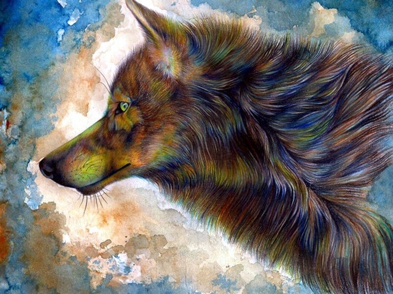 Wolf in Profile — Brown, Dramatic, Painting