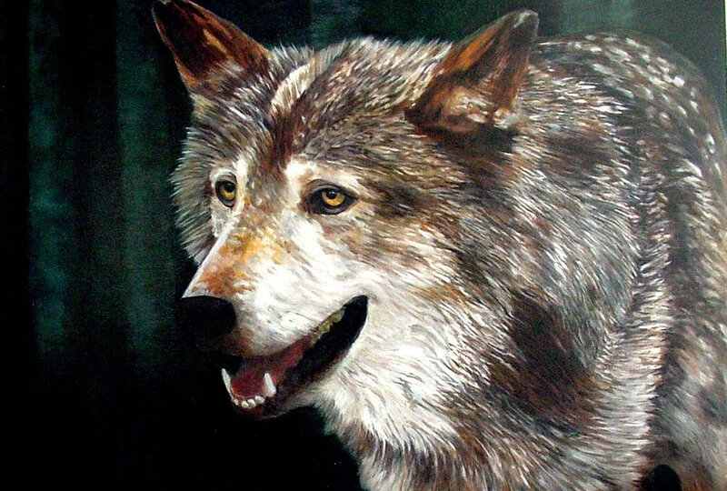 Wolf in Profile — Gray, Intense