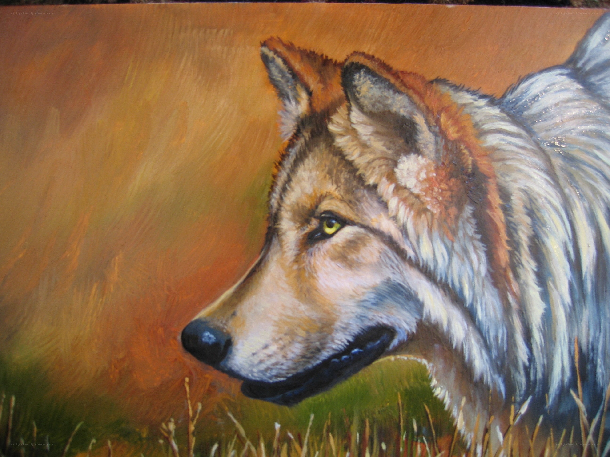 wolf in profile painting