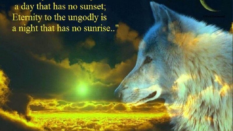 Wolf in Profile — Yellow, Dramatic