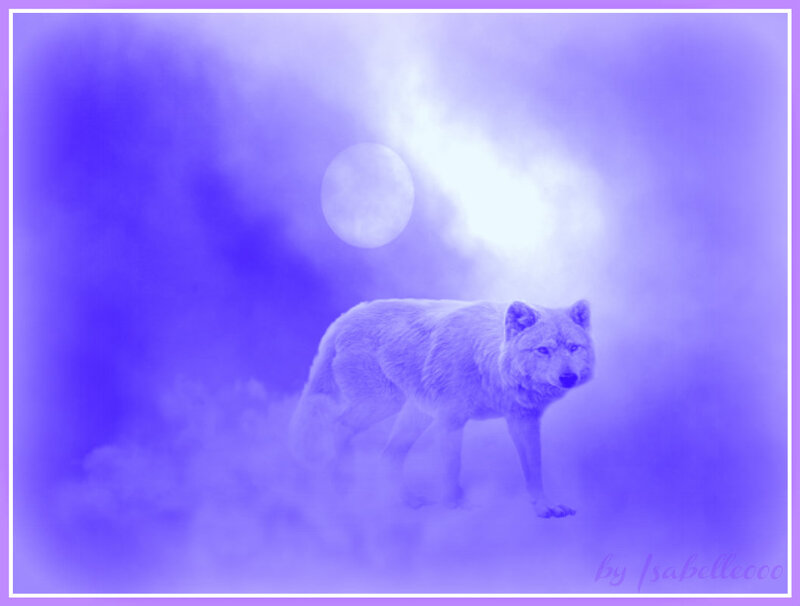 Wolf in Purple Mist