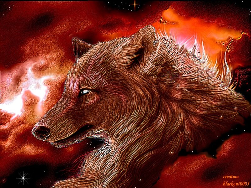 Wolf in Red Nebula