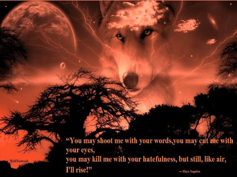 Wolf in Red Sky