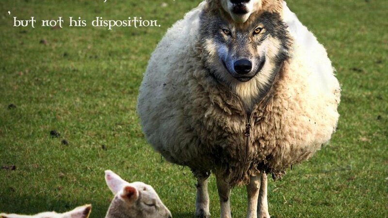 Wolf in Sheep's Clothing — Green, Dramatic, Afternoon