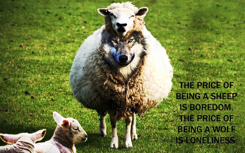 Wolf in Sheep's Clothing — Green, Dramatic
