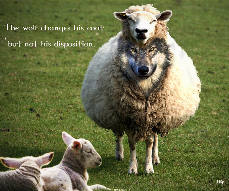 Wolf in Sheep's Clothing — Green