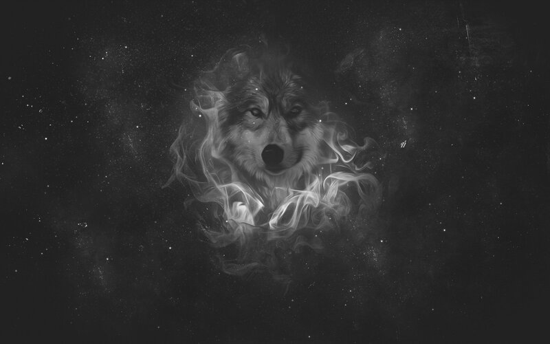 Wolf in Smoke