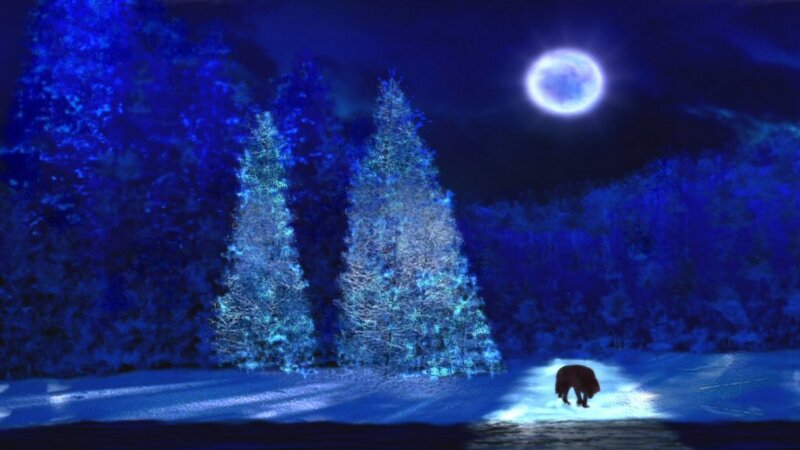 Wolf in Snow — Blue, Serene, Night