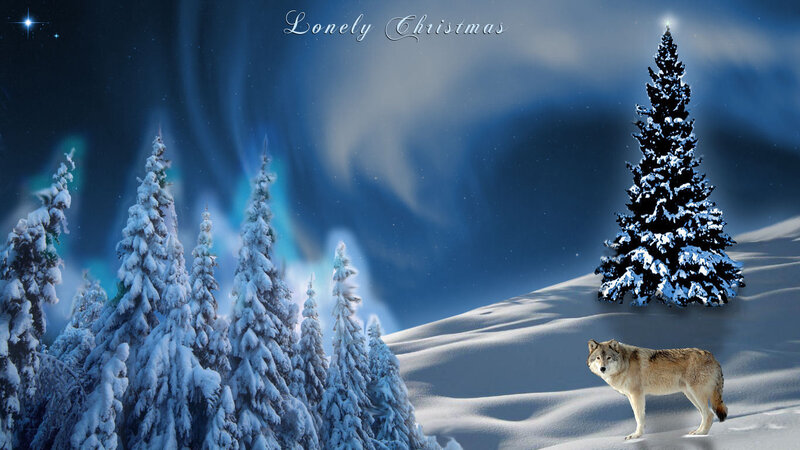 Wolf in Snow — Blue, Serene