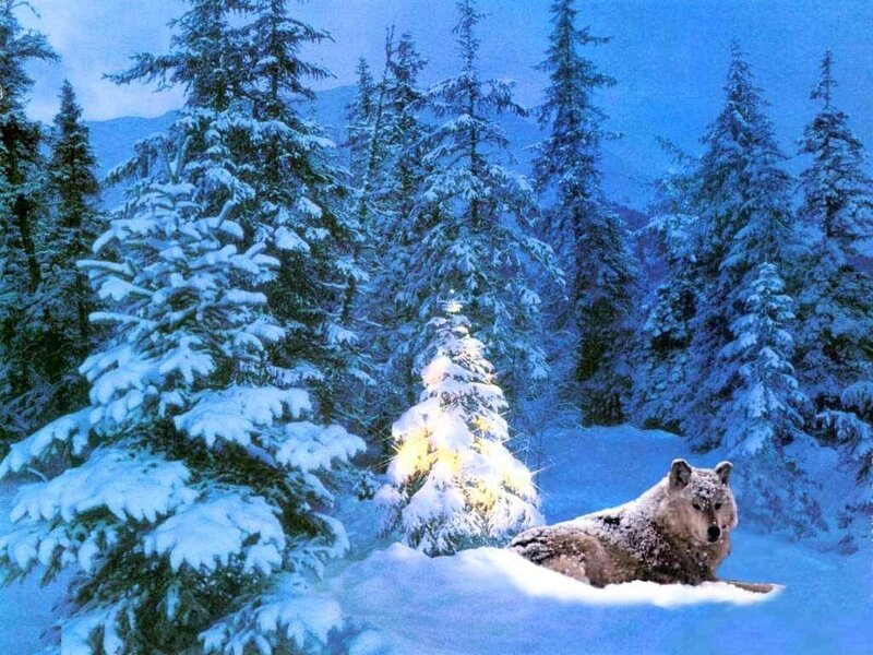 Wolf in Snow — Blue, Serene, Winter, Digital Art