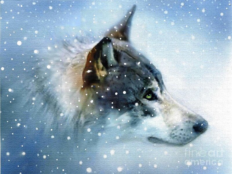 Wolf in Snow — Blue, Serene, Winter