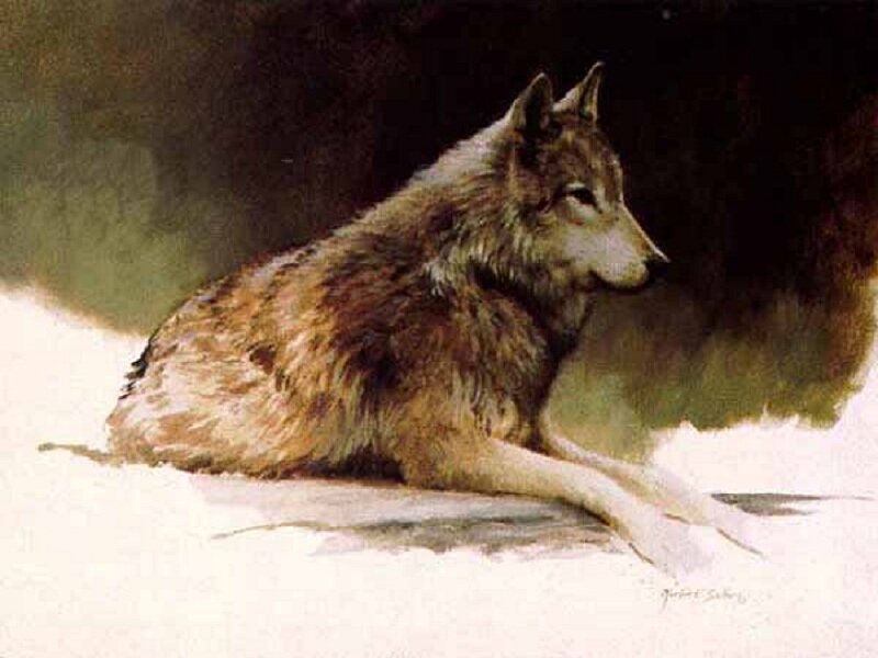 Wolf in Snow — Brown, Calm, Winter, Painting, Forest