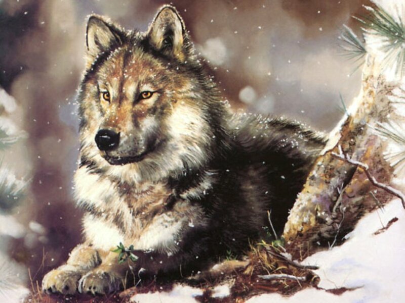 Wolf in Snow — Brown, Calm, Winter, Painting