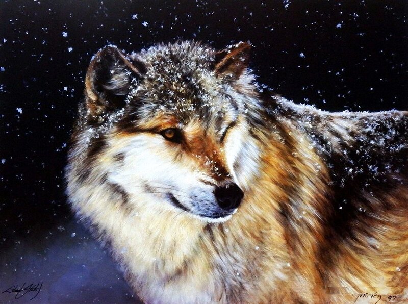 Wolf in Snow — Brown, Dramatic