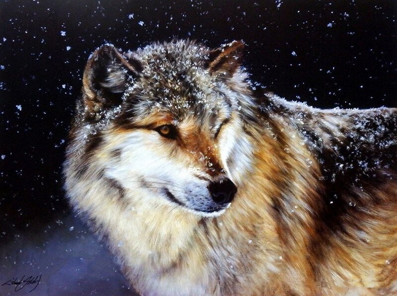 Wolf in Snow — Brown, Dramatic, Winter, Painting