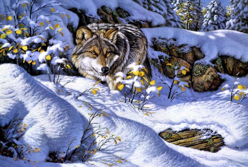 Wolf in Snow — White, Calm, Winter, Painting