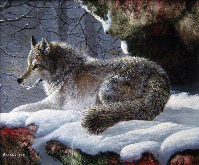 Wolf in Snow — White, Calm, Winter, Painting, Tree