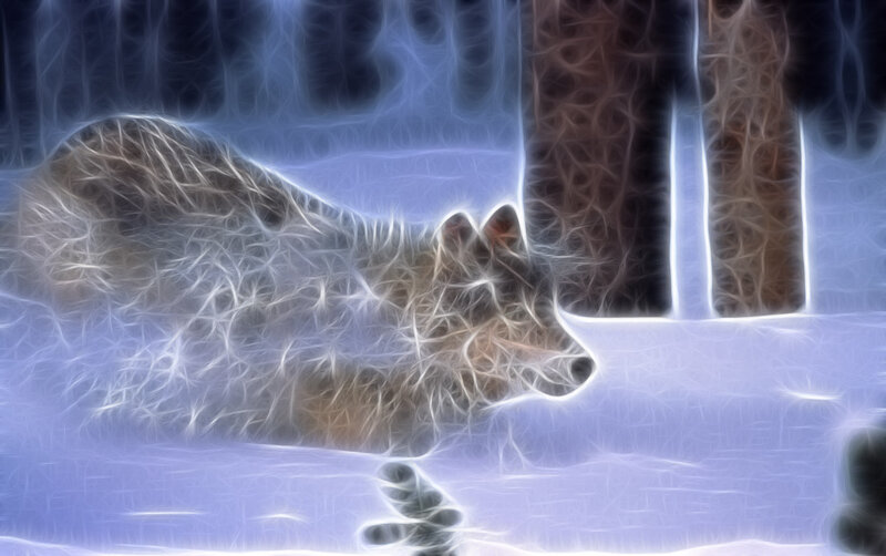 Wolf in Snow — White, Serene, Winter, Digital Art