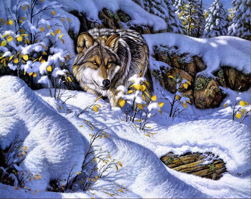 Wolf in Snow — White, Serene, Winter, Painting