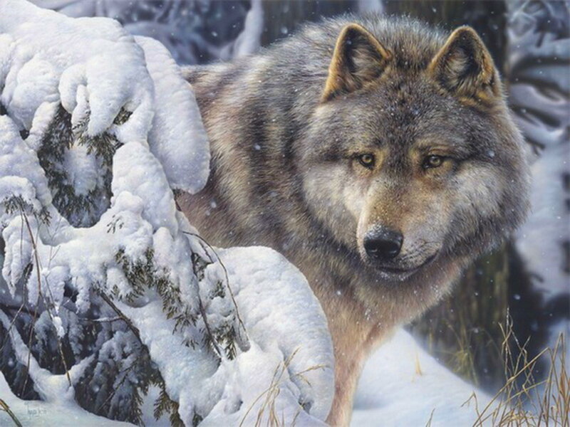 Wolf in Snow — White, Serious, Winter, Painting