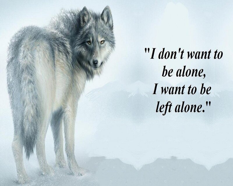 wolf in snow with quote