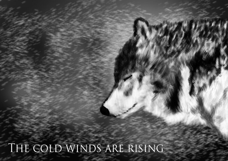 Wolf in Snowstorm — Black, Dramatic