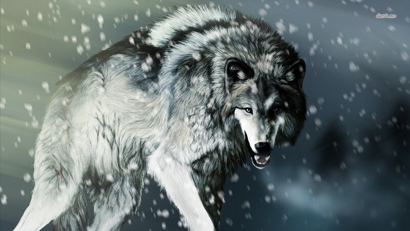 Wolf in Snowstorm — Gray, Dramatic, Winter, Digital Art, Snow, Storm