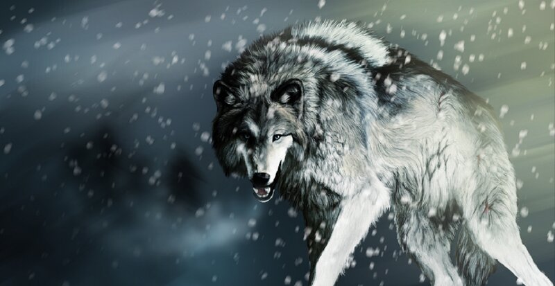 Wolf in Snowstorm — Gray, Dramatic, Winter, Digital Art, Snow
