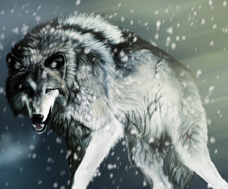 Wolf in Snowstorm — Gray, Dramatic, Winter, Digital Art