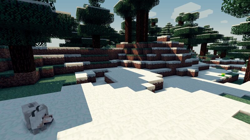 Wolf in Snowy Biome
