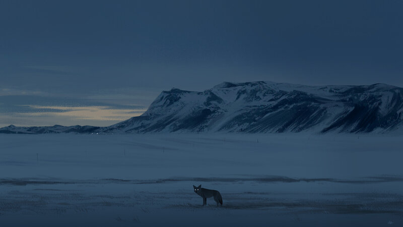 Wolf in Snowy Field — Blue